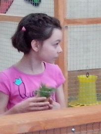 2015-06-20, девочка в контактном зоопарке