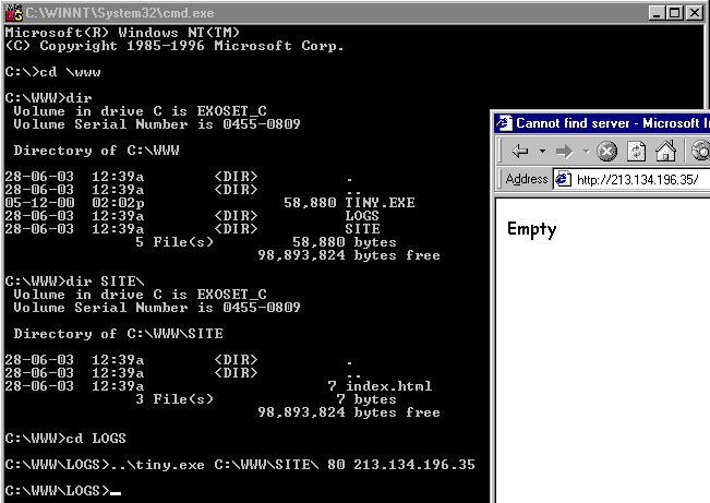 Скриншот запуска вебсервера tiny.exe и его проверки